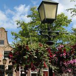 postřehy z Holandska