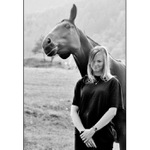 O koních a lidech II.