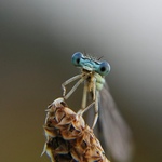 Hledělo na mě s otevřenou hubou