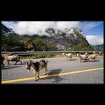 Evidence dopravního přestupku