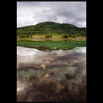 Na ostrově Kjerringoy