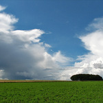 Fields of Scotland