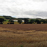 Colours of Scotland