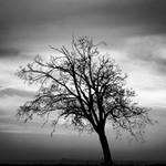 strom...