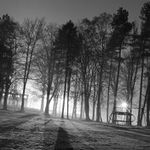 Playground in nite