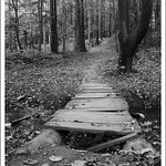 Tam a už nikdy zpět...