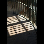 Peace in modern style