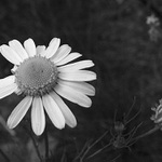 Zrcadlo, zrcadlo..ktera z nas je krasnejsi?