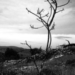 Chorvatsko 2