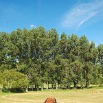 Z letního cestování