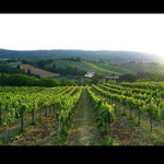 Toskánské kouzlení 2