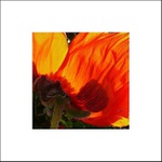 ... pod sukýnkou ...