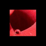 ... orosená něha...