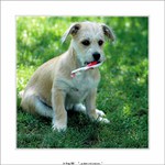 ...aj ráno si ich umývam...