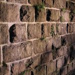 příroda si najde cestu