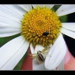 POD ZAKRYJEM TA... :O)