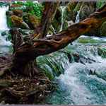 Dřevo, voda, kámen - střední pasáž Plitvických jezer