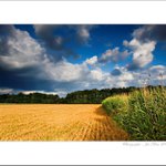 Oderské pohádky III