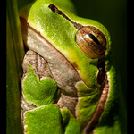 ..si klidně foť, hlavně mě nebuď