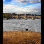 /-------/-------/ .......  most