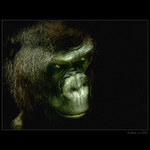 ... zajisté miláčku...