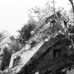 Das Hunderwasserhaus