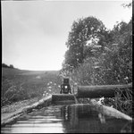 československá portrétní a sportovní fotografie