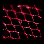 ***oko ve světě kapek***