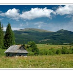 Pod Kráľovou hoľou