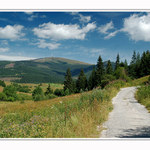 Pod Kráľovou hoľou II.