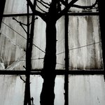 optimistická (jako vždy)