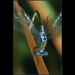 Postavené na hlavě...