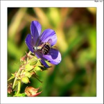 Po obědě je nejlepší si schrupnout