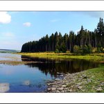 Přísečnická přehrada