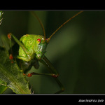 ...cvakni a uvidíš...