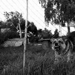 attack