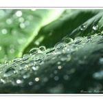 Pod sluncem se třpytí nejlíp :-)))