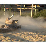 Jezis, oni ma sleduju!!! :)