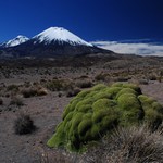 Parinacota