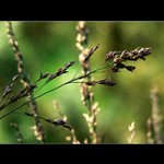 *proti proudu času*