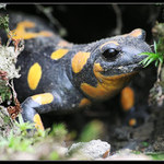 Mám ještě zamrkat?