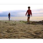 Hľadanie mušlí zavčas rána