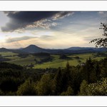 Růžák před bouřkou..