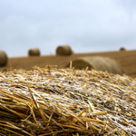 Balíky stokrát jinak