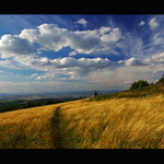 Přijď a dotkni se ...