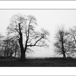 Návraty do veltruského parku XXVIII - serie 2/3