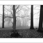 Návraty do veltruského parku XXVIII - serie 3/3