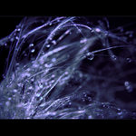 ***o°oO°o°O°°o***