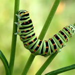 ...jsem flexibilní...