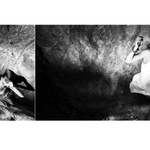 a k ranu se male morske vile zazdalo o horici zirafe